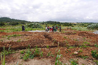 Building of School. Part 1