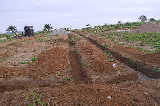Building of School. Part 1